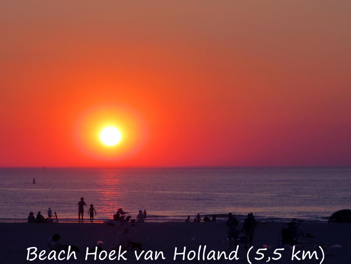 Dutchduochalet37 's-Gravenzande Luaran gambar