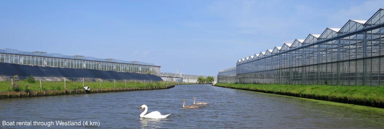 Dutchduochalet37 's-Gravenzande Luaran gambar